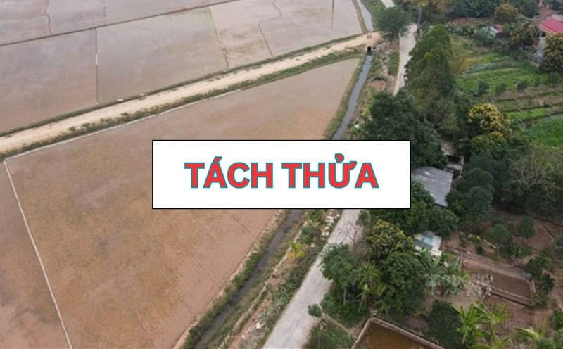 Quy định điều kiện tách thửa đất nông nghiệp mới nhất năm 2024